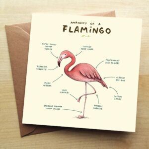 Anatomy-Of-A-Flamingo-Greeting-Card